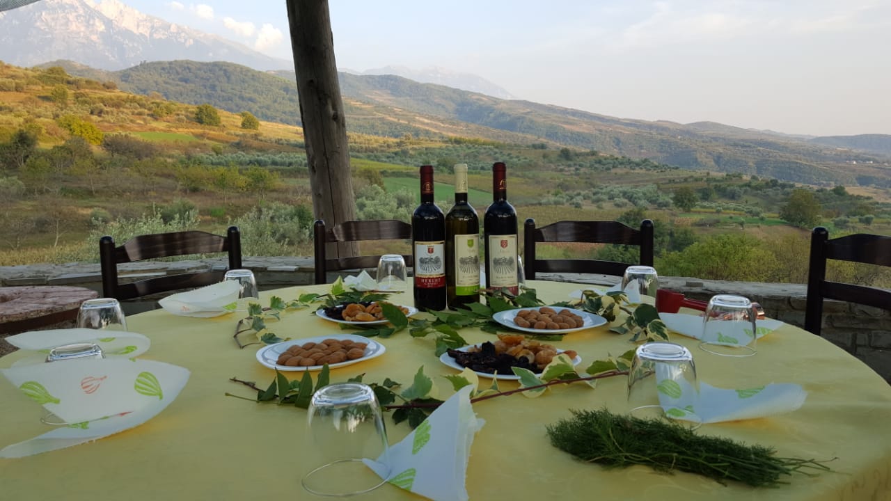 Tour enogastronomico della regione vinicola di Berat con visita a 2 cantine di vino