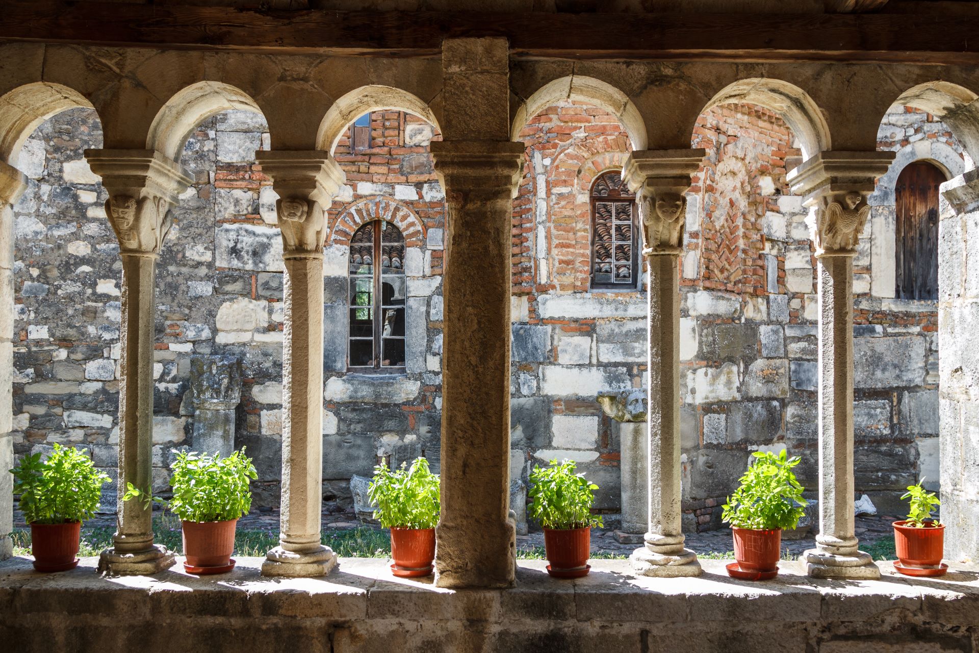 Tour di un giorno da Durazzo agli scavi di Apollonia con Monastero di Ardenica