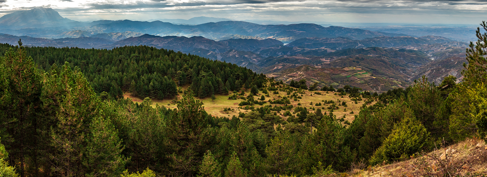 Elbasan