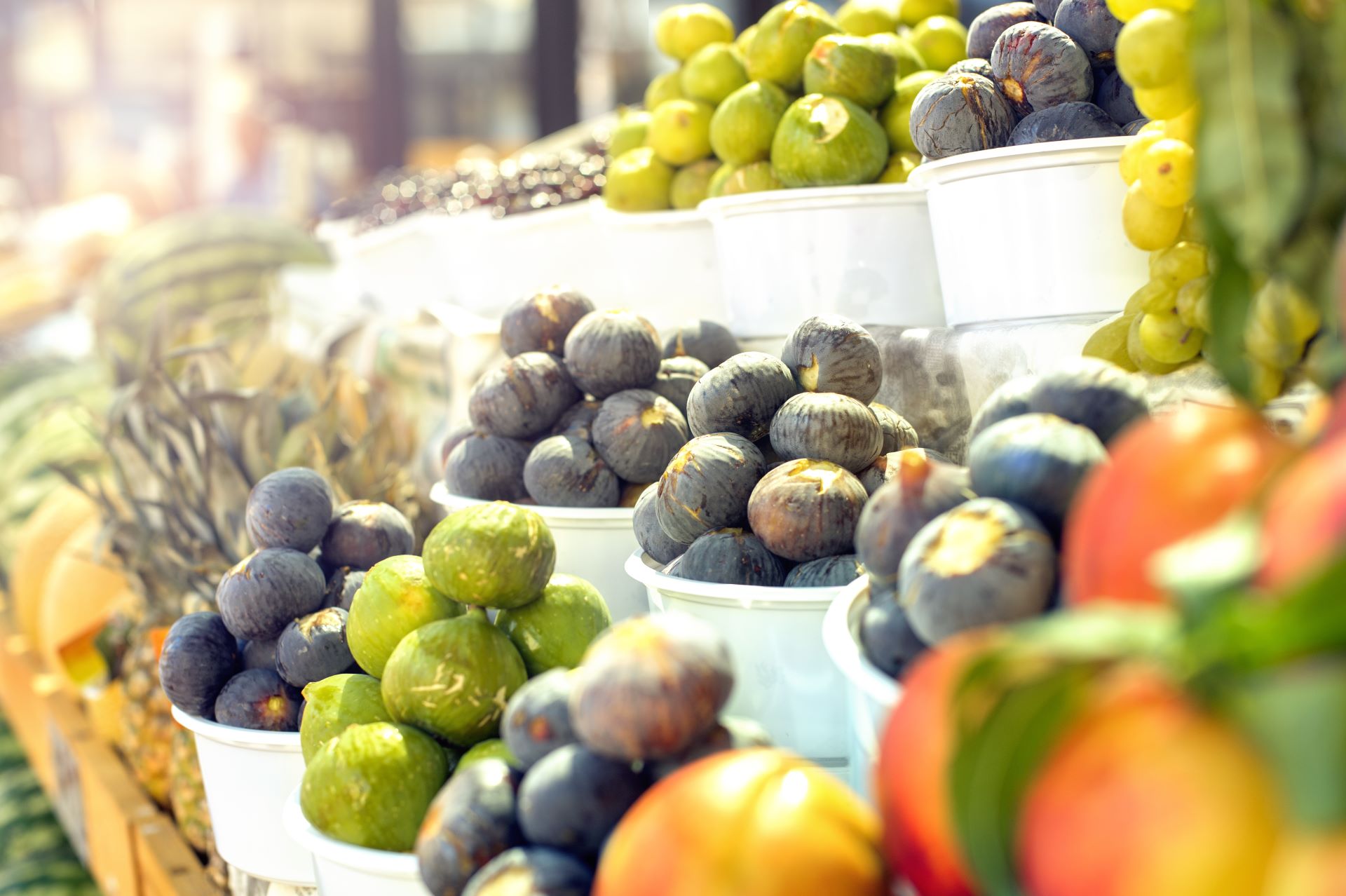 Food tour in Vlorë with lunch included