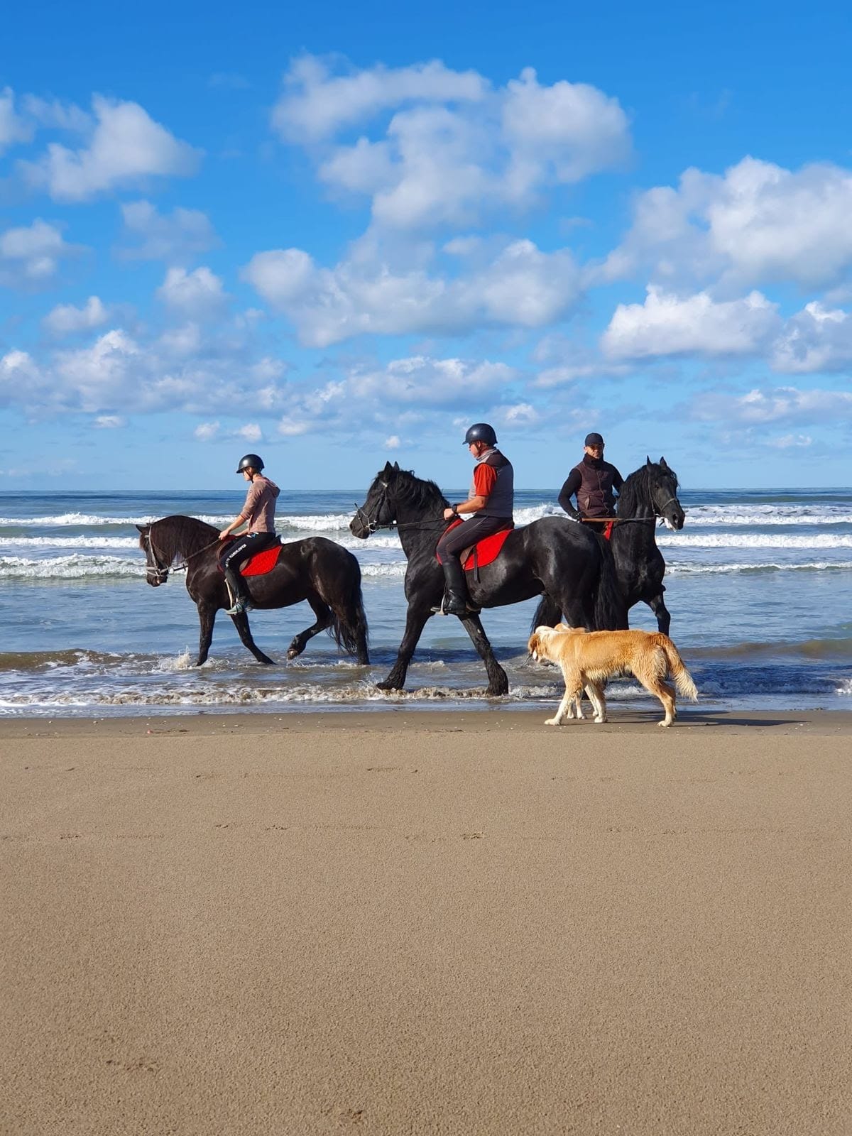 Passegiata a cavallo a Durazzo